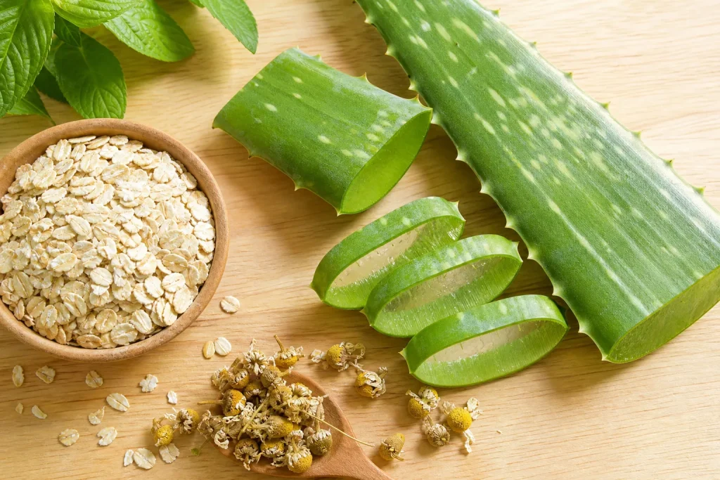 Feuille d'aloe vera coupée, flocons d'avoine et camomille