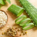 Feuille d'aloe vera coupée, flocons d'avoine et camomille